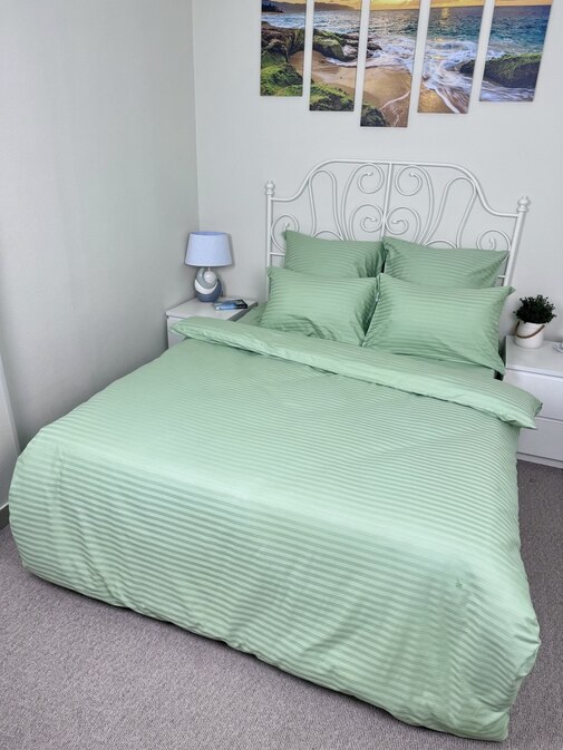 КПБ  страйп-сатин однотонный  Графитовая коллекция Реноме<Ss-005 Олива> 