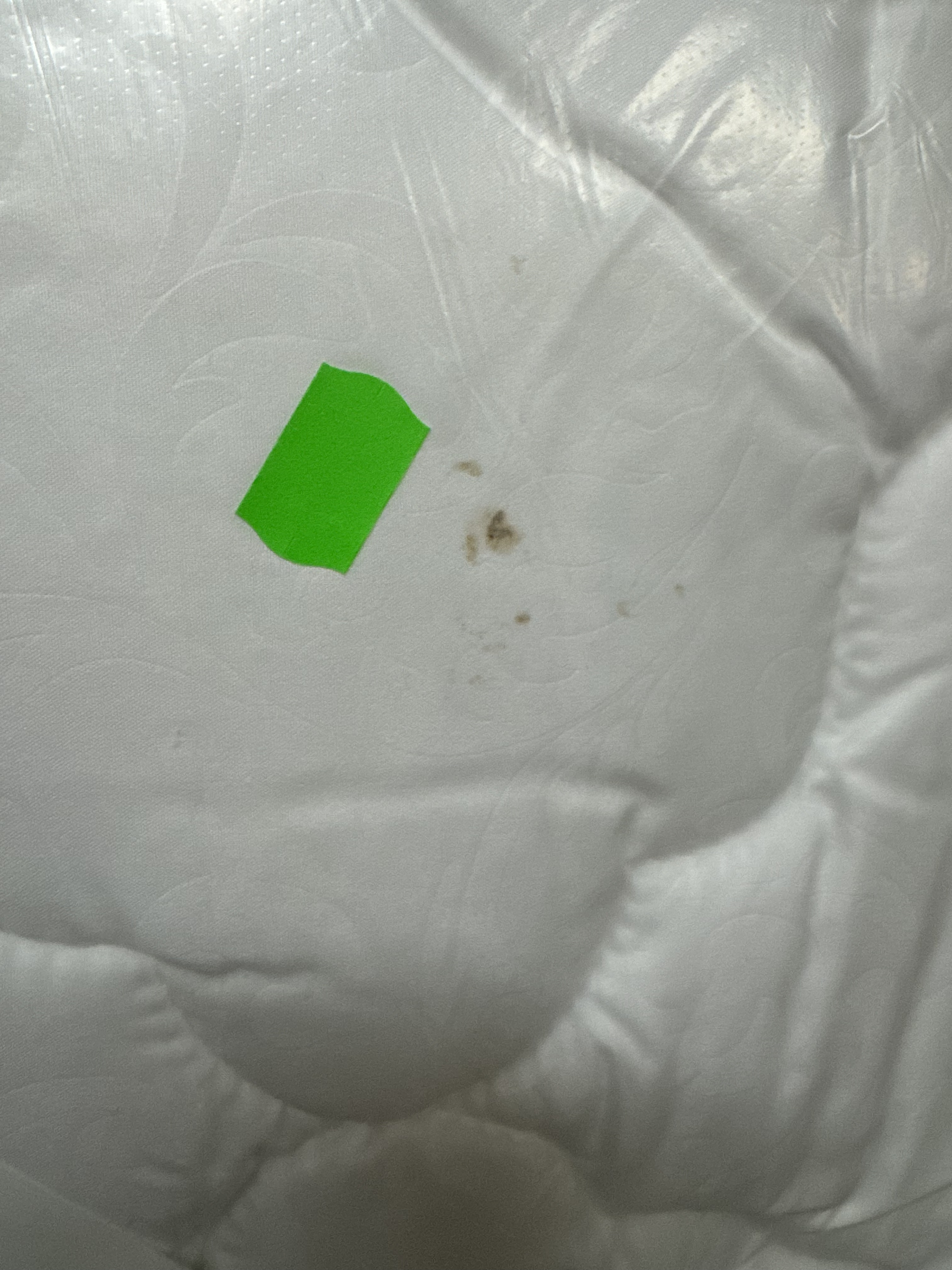 УЦЕНЕННЫЙ ТОВАР Одеяло овечья шерсть  тк поплин Реноме