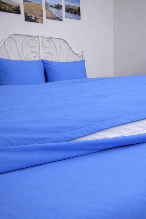 КПБ поплин однотонный Оливковая коллекция Реноме<15-4031 Васильковый>