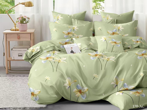 КПБ  полисатин Art Color AC Клео<AC-170>